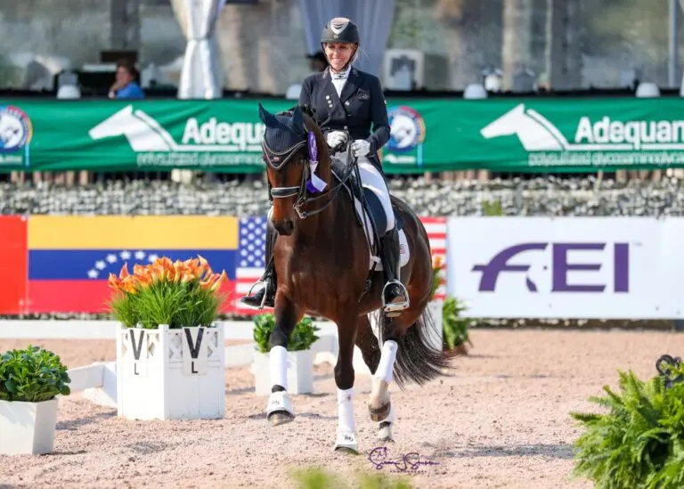 Ibistrona Trot Front Sue Stickle 1 768x549