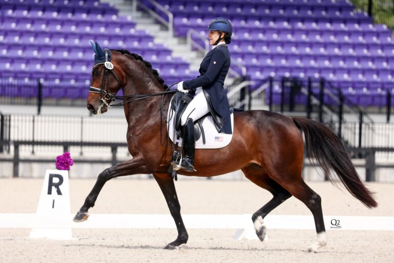 Ibistrona Trot Left Q2 768x512