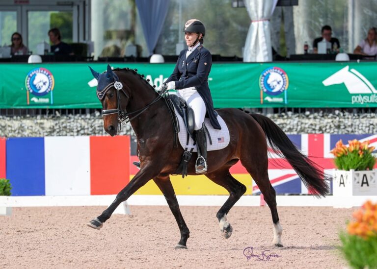 Ibistrona Trot Left Sue Stickle 768x549