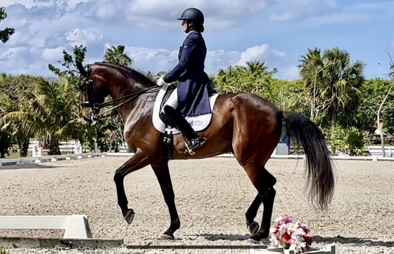 Parlay Piaffe Show HM24 Jan 768x496