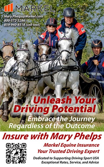 Mary Phelps = Markel Insurance Your Trusted Driving Expert