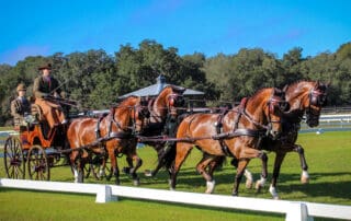 Chester Weber-Grand Oaks CDE 2024