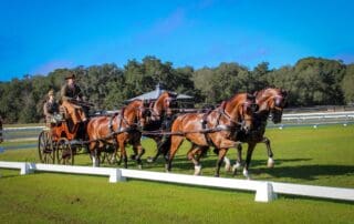 Chester Weber-Grand Oaks 2024 - Best Advanced result 76.4% (37.78)