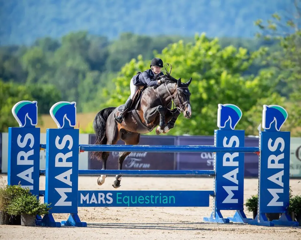 Lot # 48 Iceman de Muze - Hilltop Farm