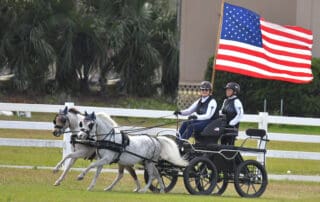 Mary Phelps and her ponies at the Florida Horse Park Polo