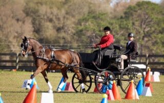 Suzanne Smith and Branson