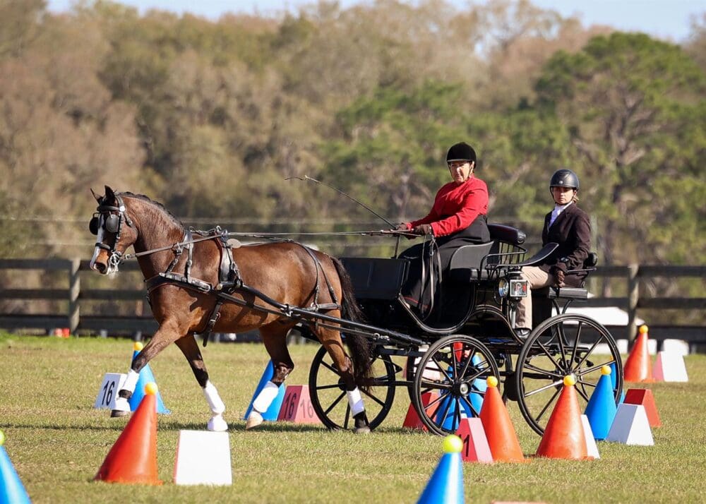 Suzanne Smith and Branson