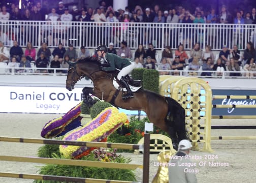 Daniel Coyle and Legacy