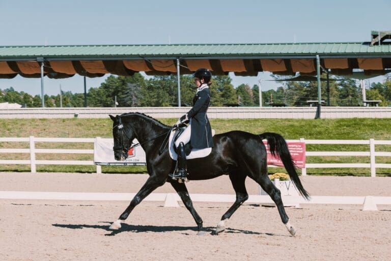 Dante Kadans Show Trot2 HM24 March 768x512