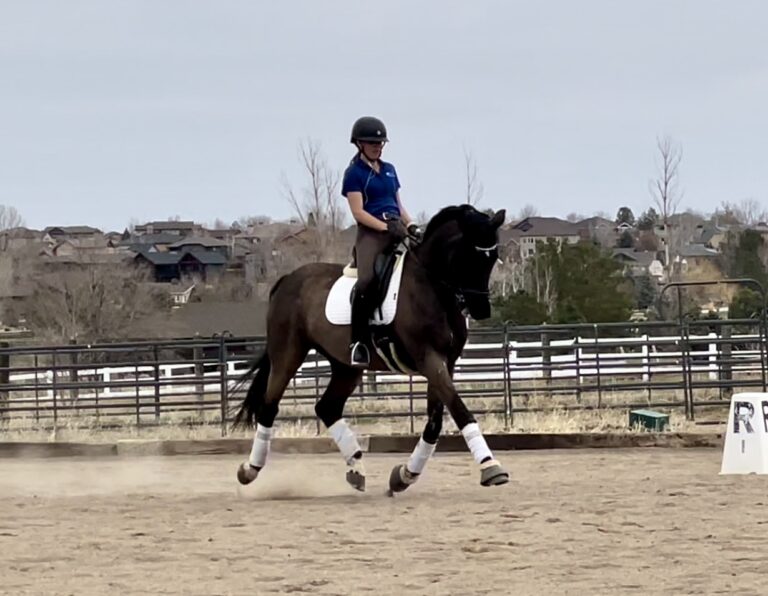 Dante Kadans Trot HM24 March 768x596