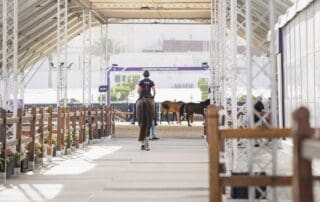 FEI World Cup