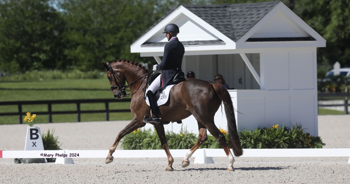 Endel Ots (USA) and Zen Elite’s Bohemian