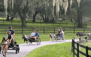 Florida Youth Driving Camp trail ride