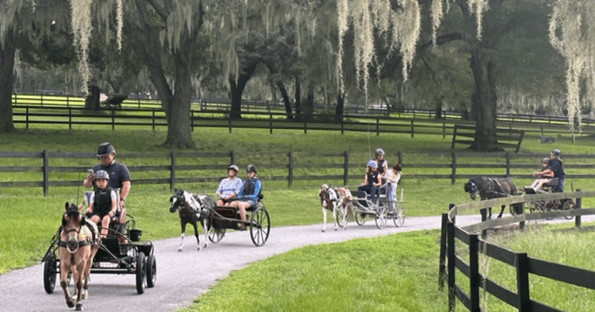 Florida Youth Driving Camp trail ride