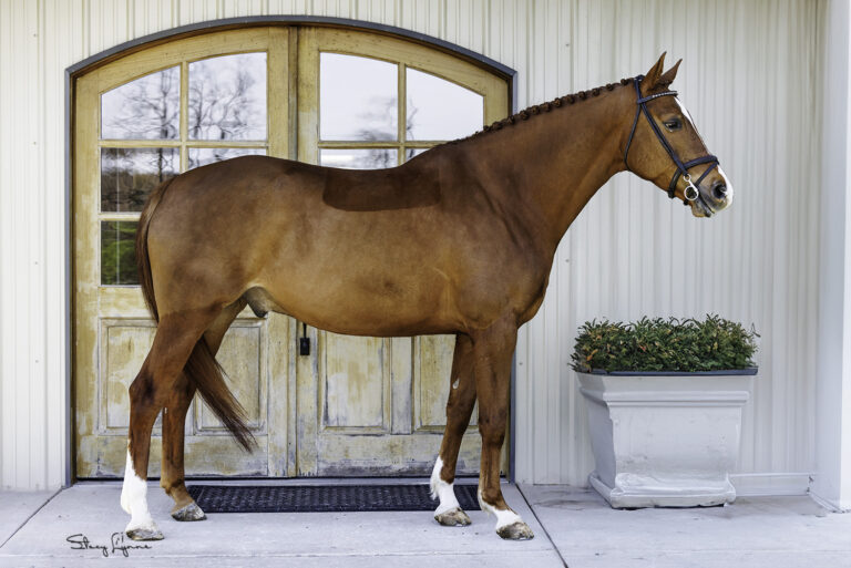 Hendricks Conformation 768x513