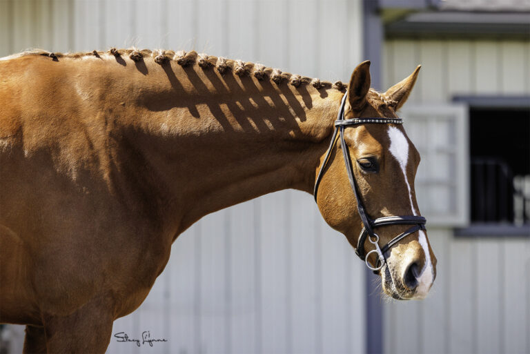 Hendricks Head 768x513