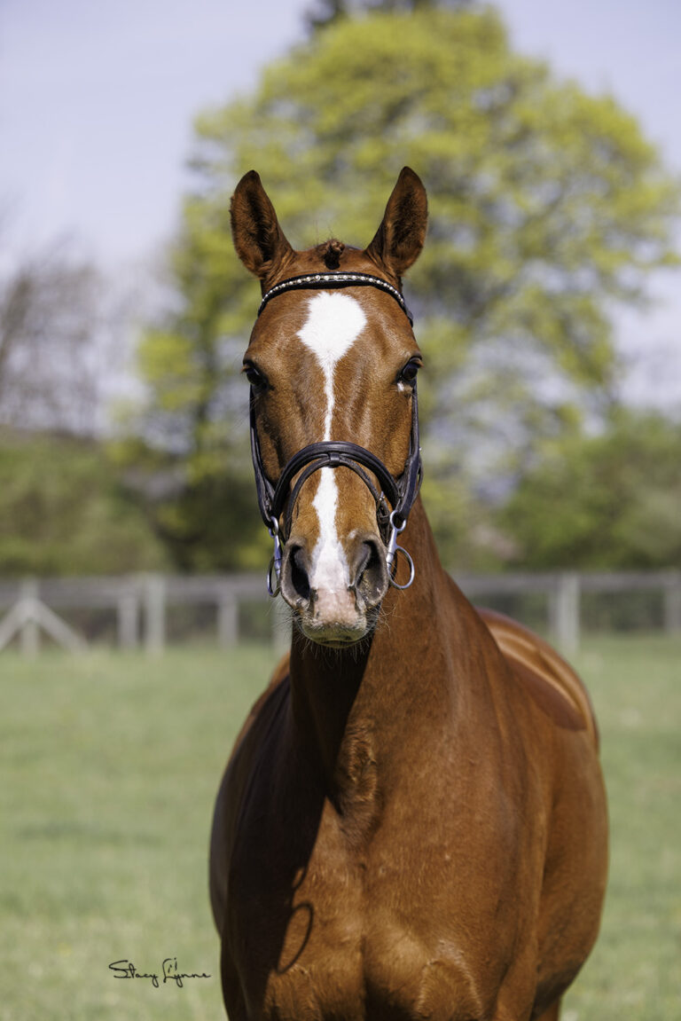 Hendricks Head2 768x1151