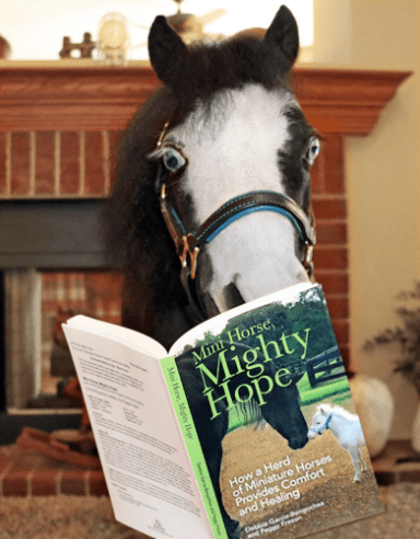 Gentle Carousel Miniature Therapy Horses - their book "Mighty Hope"