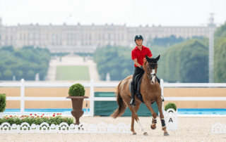 Schooling in Versailles