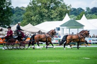 Chester Weber and Team (Photo: Shannon Brinkman)