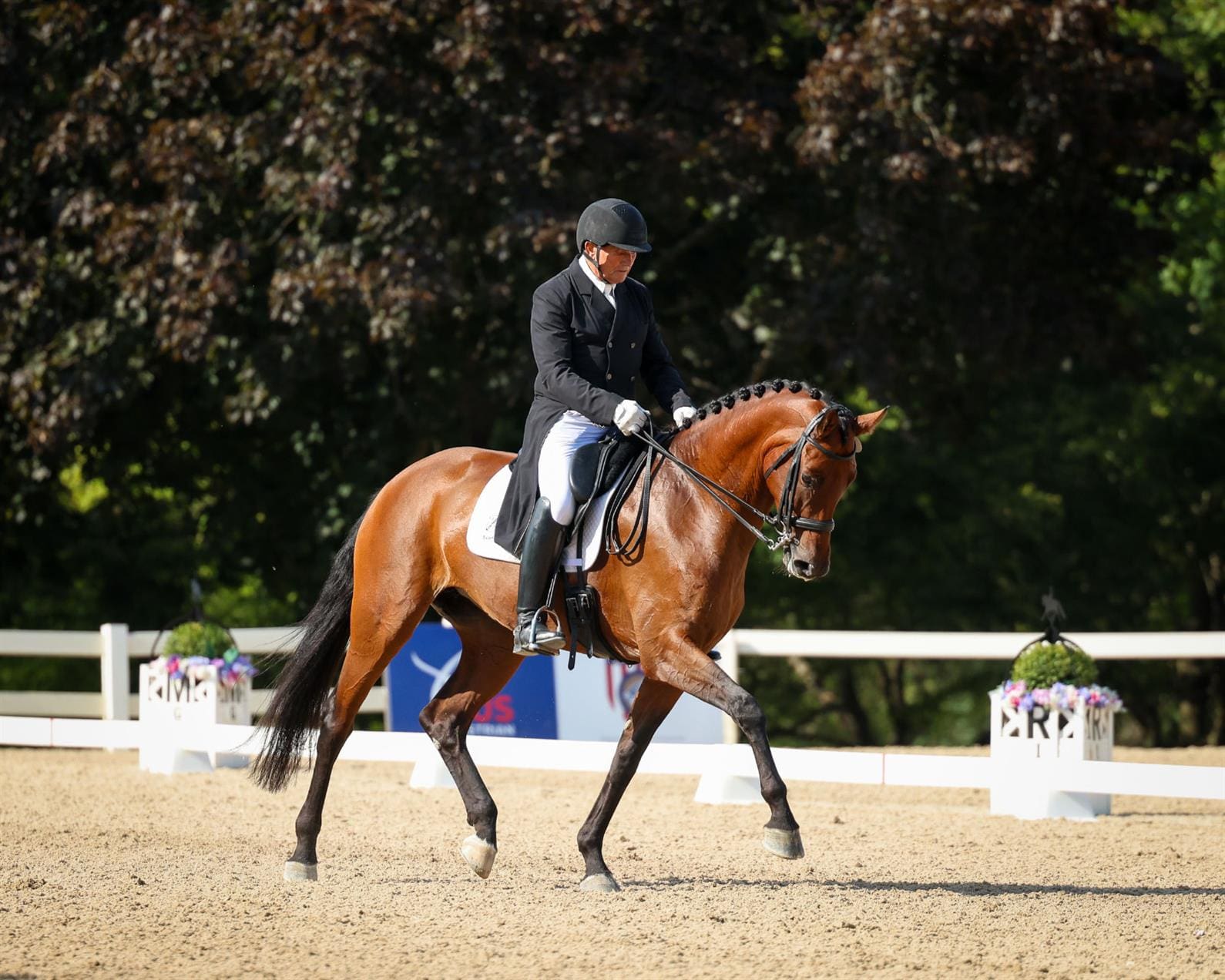 Cover - Willy Arts and Makanabria DG_2024©Leslie Potter_US Equestrian