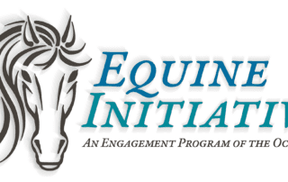 Ocala's Equine Initiative