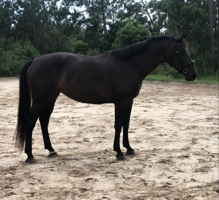 diamond conformation 768x703