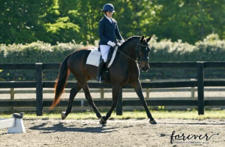 diamond poplar 768x502