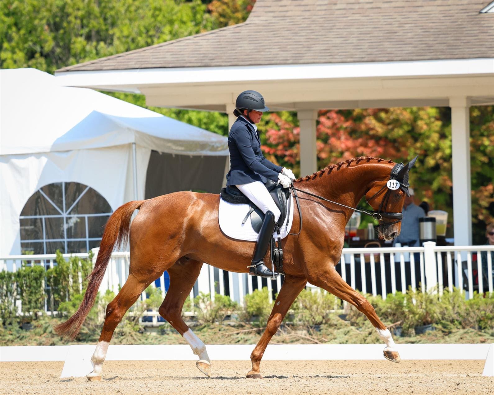 Petra Warlimont and Deambulo PWD. ©Leslie Potter/US Equestrian