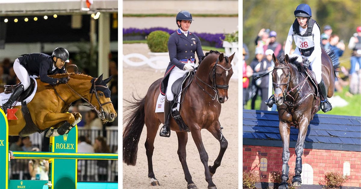 US Equestrian Open - which will feature the three Olympic equestrian disciplines of dressage, eventing, and jumping.
