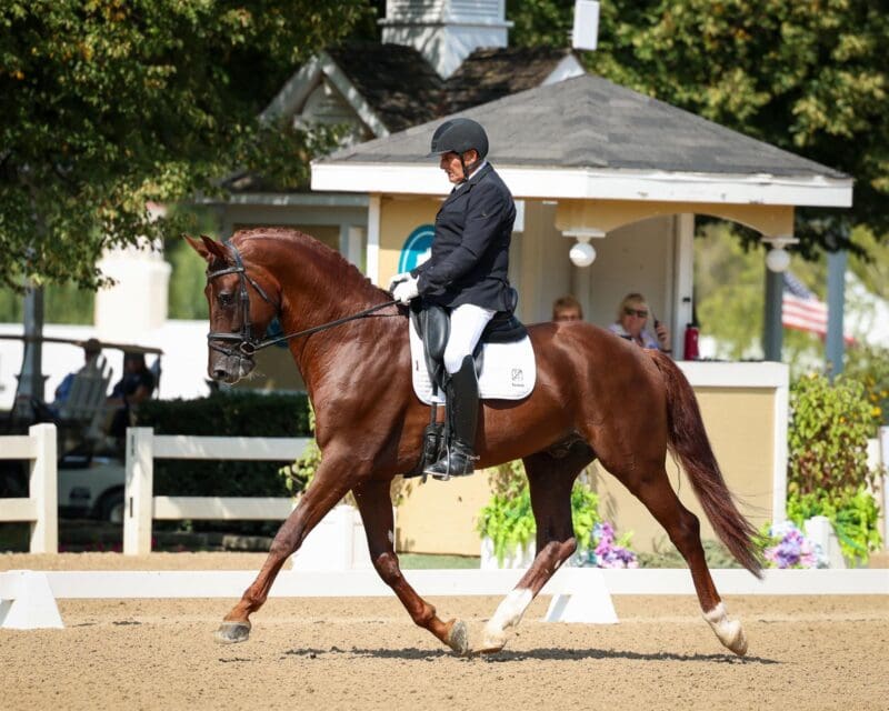 Williy Arts and Pharaoh DG. ©Leslie Potter/US Equestrian