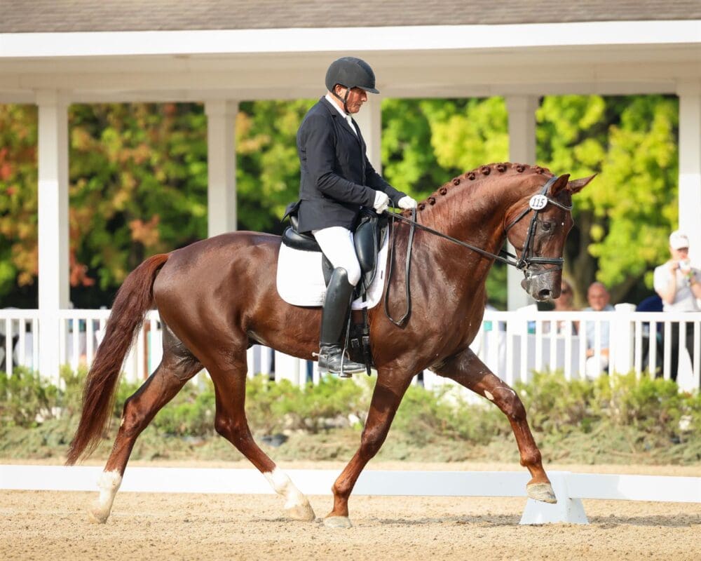 Willy Arts and Pharaoh DG. ©Leslie Potter/US Equestrian