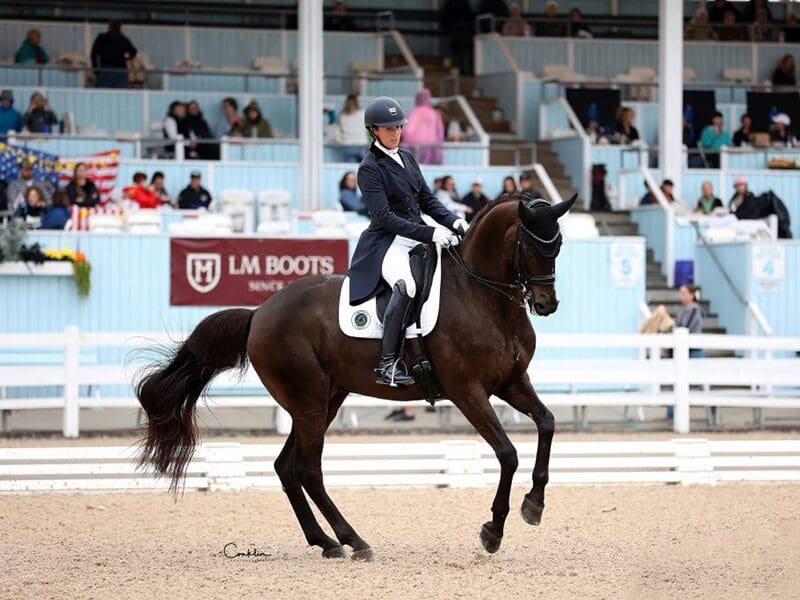 Ali Patasky and Everdale (Bob Conklin Photography)