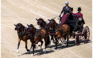 Chester Weber -FEI World Driving Championships for Four in Hands 2024