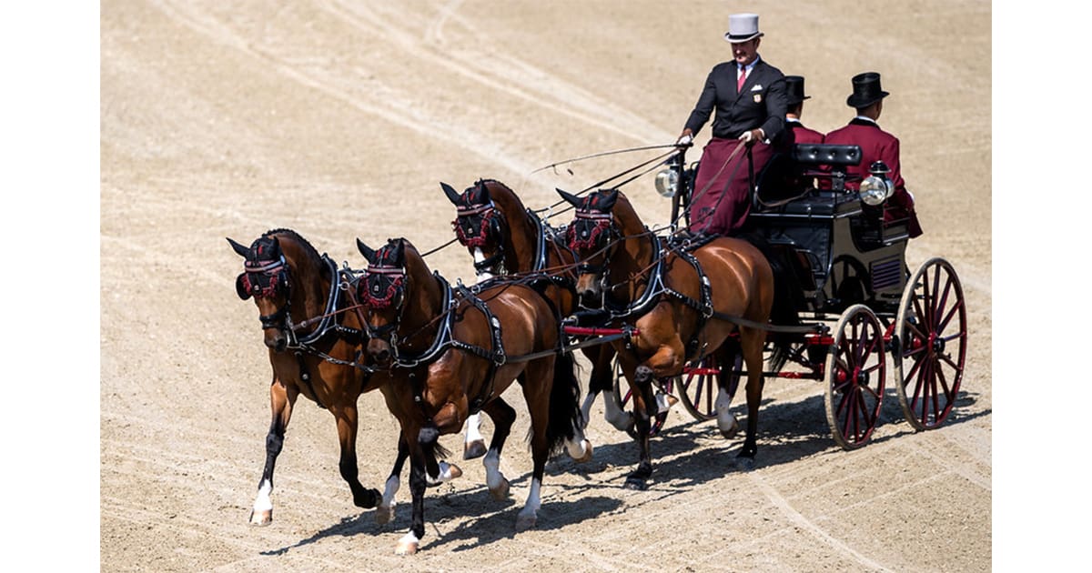 Chester Weber -FEI World Driving Championships for Four in Hands 2024