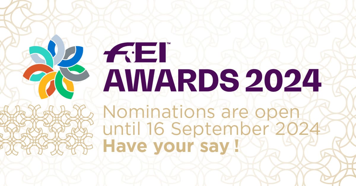 FEI Awards 2024