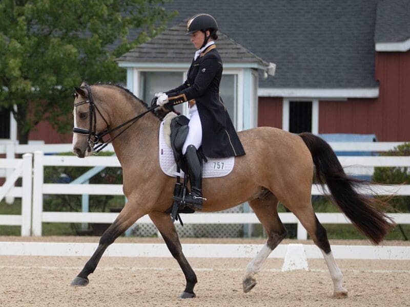Lauren Chumley and Nikolas Ali Patasky and Everdale (Bob Conklin Photography)