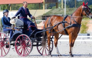 Mario Gandolfo (SUI)