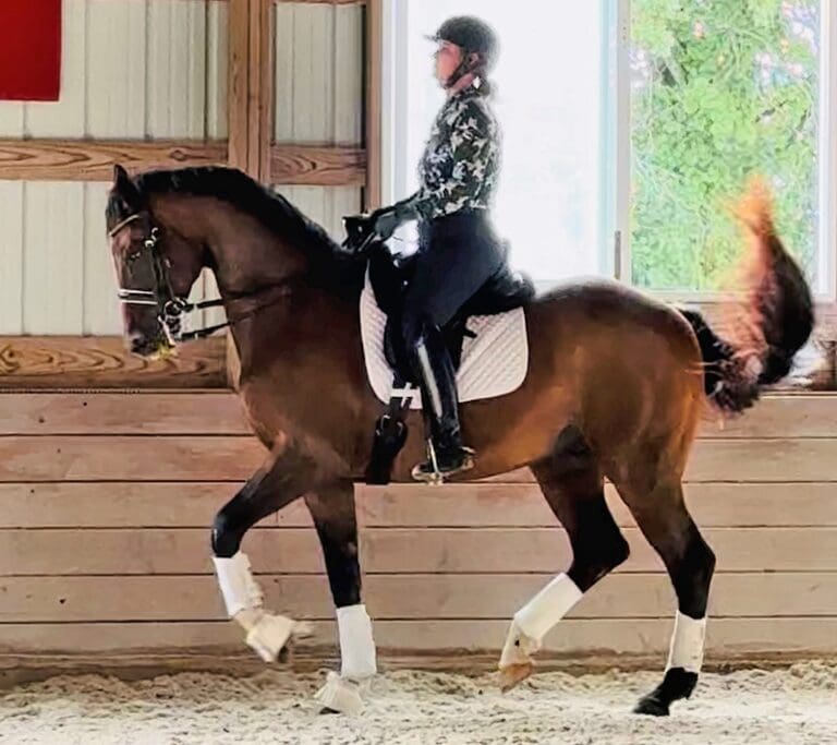 Rolex Piaffe HM24 Sept 768x683