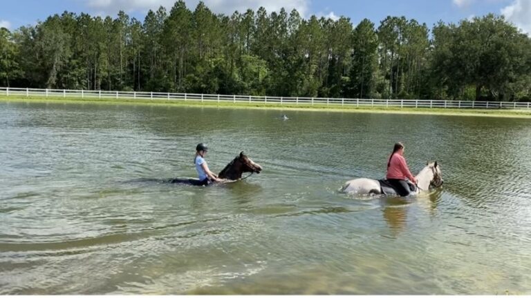 Rosie The Riveter Swim HM September 2024 768x432