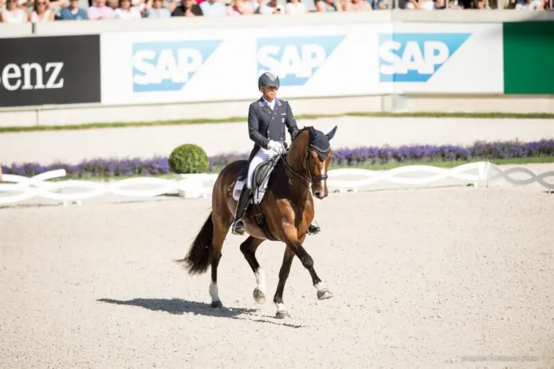 Steffen Peters and Suppenkasper ©ShannonBrinkmanPhotography