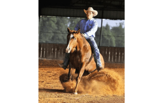 This Chicsdundreamin