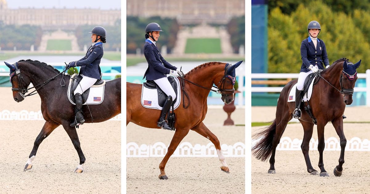 Para Dressage Team 2024