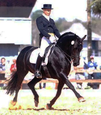 Hokan and Bold Contender made history as one of the first Friesians to compete at the CDI Grand Prix level in the U.S.