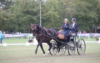 Jessica Watcher and Gucci FST