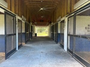 10. 13370 W Highway 318, Williston, FL 32696