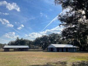 2. 13370 W Highway 318, Williston, FL 32696