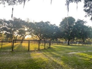 4. 13370 W Highway 318, Williston, FL 32696