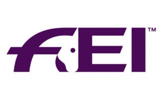 Cover - FEI Logo-Large
