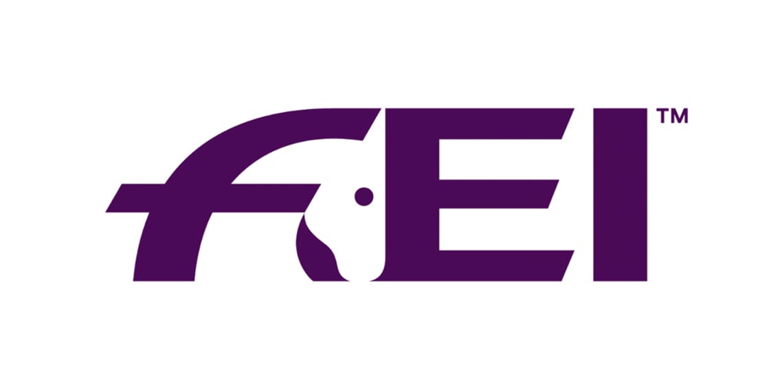 Cover - FEI Logo-Large
